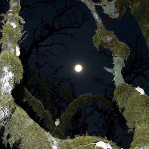 fwaniggalikeme (feat. jvstmari & kyrielight)