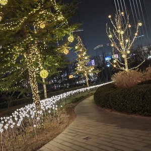 清醒大概是另一种精神病