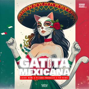 Gatita Mexicana (feat. Fer Renxi & Pleand Producer) (Remix)