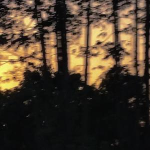 爱与诚（0.8×）