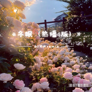 冬眠（2k24热播dj版）(DJ文成rmx)
