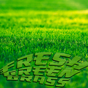 Fresh Green Grass