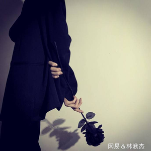 听安语录之释怀篇1.0