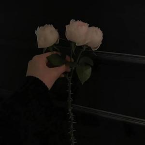 Intro（林炫 remix）