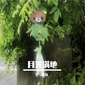 月光满地