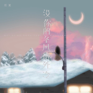 没你的冬风格外冷