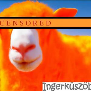 Sohasem Leszünk R'N'R Csillagok