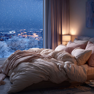 Snowy Cozy Rest