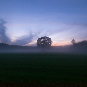 Nocturne -13×3 rework