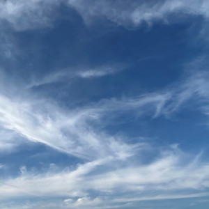 たった一つの願い事 (feat. 鏡音リン)