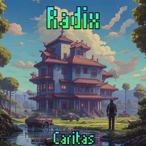 Radix