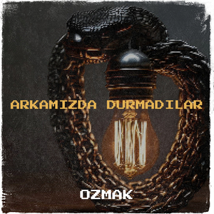Arkamızda Durmadılar