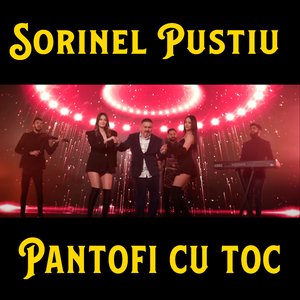 Pantofi cu toc