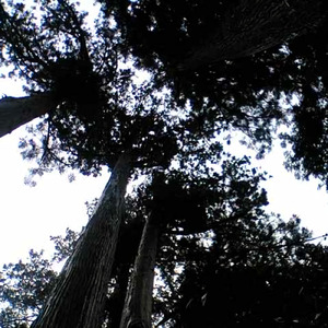 自然音 - 瑞浪 - 小川01