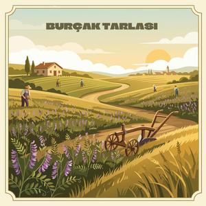 Burçak Tarlası