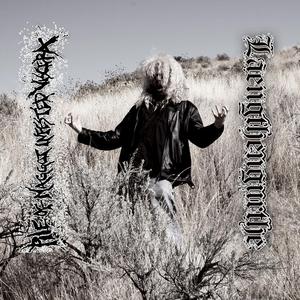 Blood Bath and Beyond