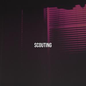 Scouting