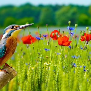有趣水疗酒店情怀