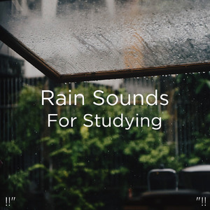 수면 비 소리