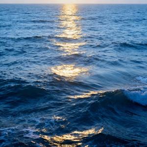 你如何才能明白我的爱 (没你的世界都是黑夜)