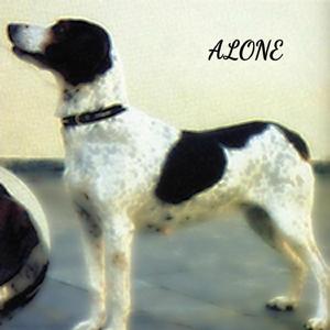 This Is How The Story Ends (Bedroom Demo) (This Is How The Story Ends (Bedroom Demo))