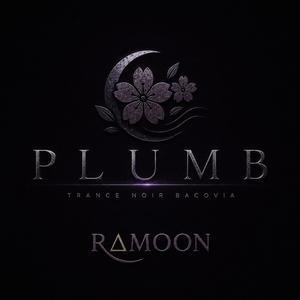 Plumb