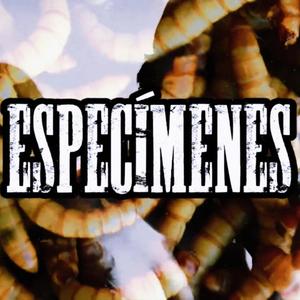 Especímenes