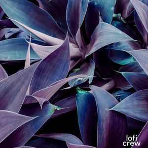 Tranquil Pop Horizons