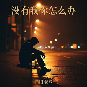 没有我你怎么办 抒情版（怀旧老登 rework）