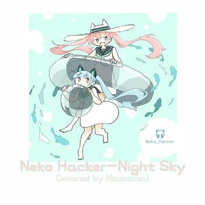 Night Sky
