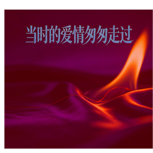 当时的爱情匆匆走过(Funky版)