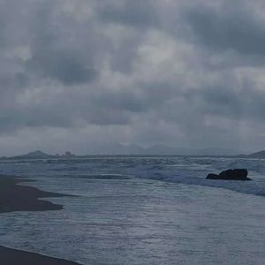 春秋冬夏的同行