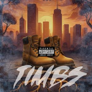 TIMBS