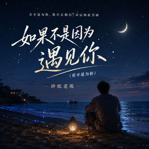 如果不是因为遇见你(若不是为你)