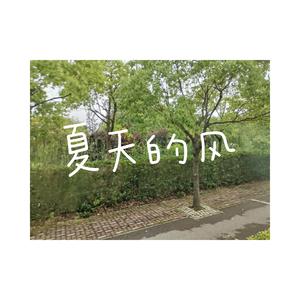 夏天的风