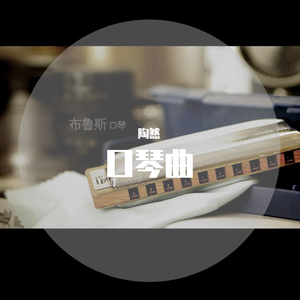 当你孤单你会想起谁（蓝调口琴）