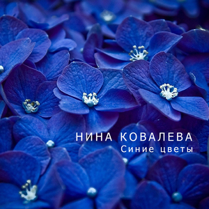 Милые звезды