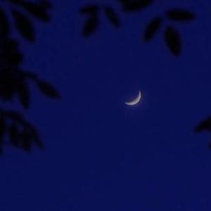 月光下末班车的倒影