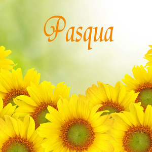 The Mist Covered Mountain