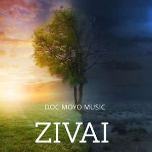 Zivai