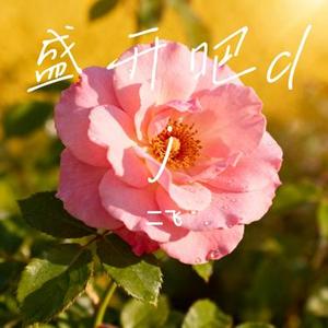 盛开吧dj (Cover 李家鑫)