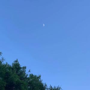 Truthfully 纯音乐