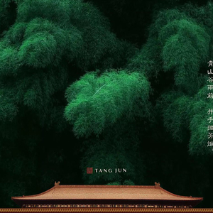 《山外小楼夜听雨》