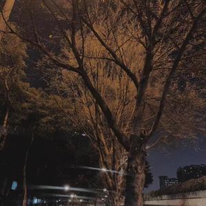 失去才懂得珍惜