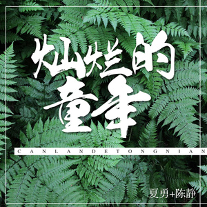 灿烂的童年
