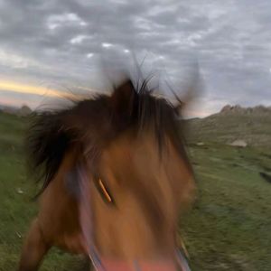 午夜霓虹