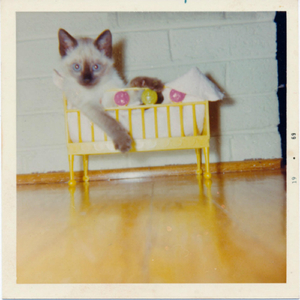 Frame by Frame (Live)