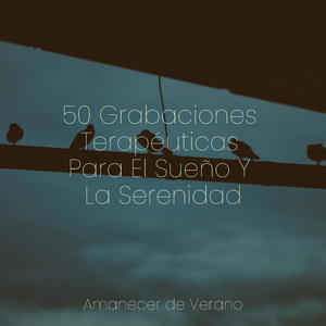 Briza de las Alturas Místicas