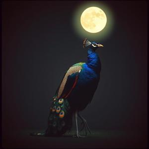 அழகான அளகை ஒருத்தி by @rthushy1990