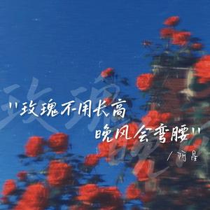 玫瑰不用低头 晚风会弯腰